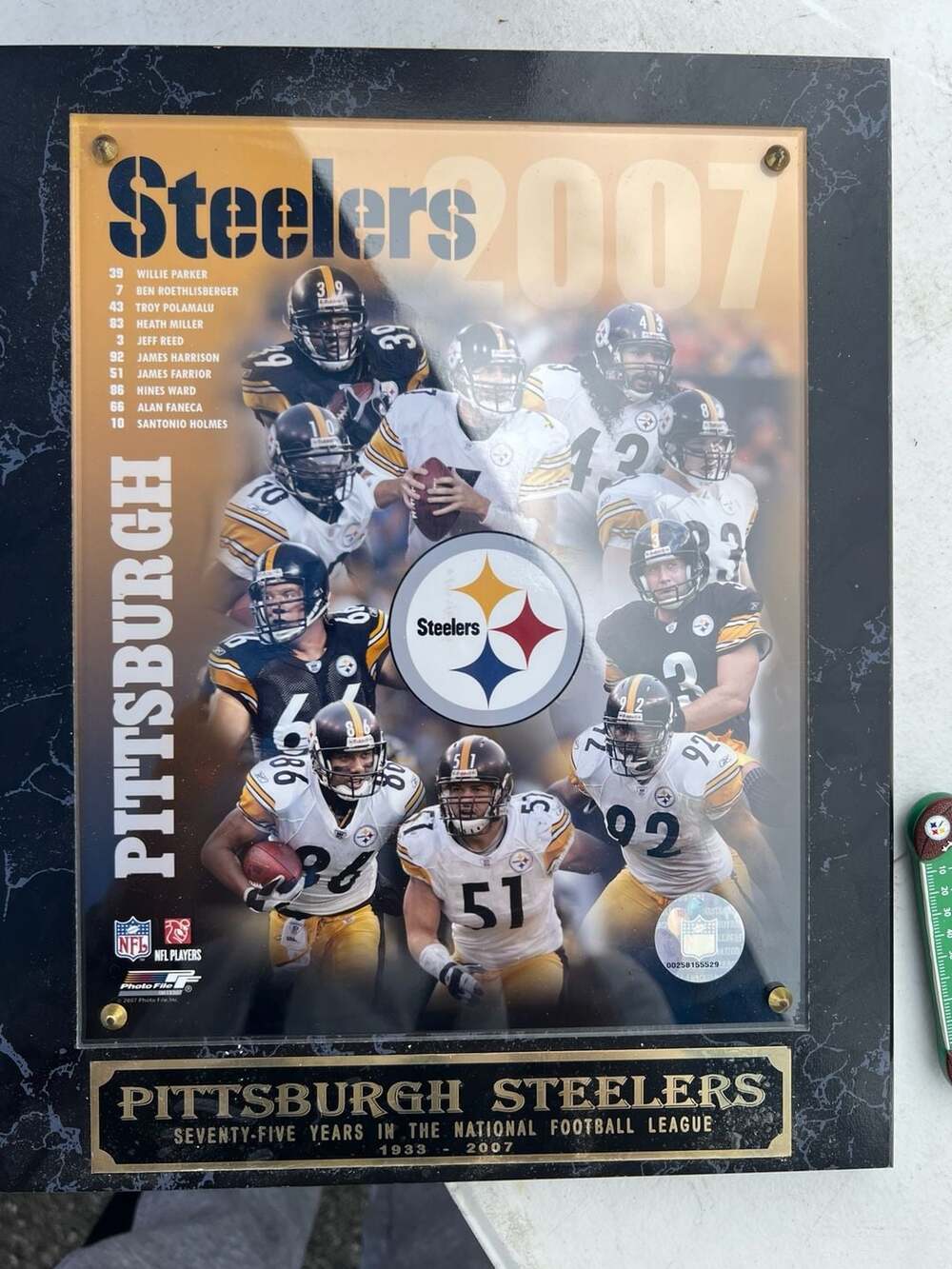 Pittsburgh Steelers 2007 75 Years In The National Football League Plaque